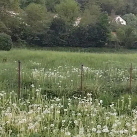 A La Ferme * Chamborigaud